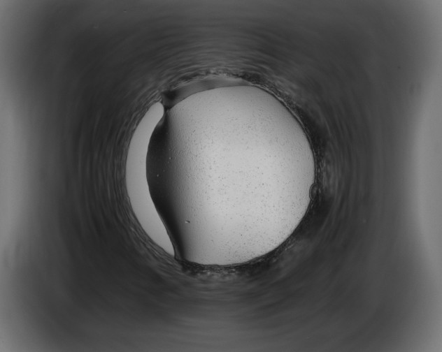 X0000083601346200703021902