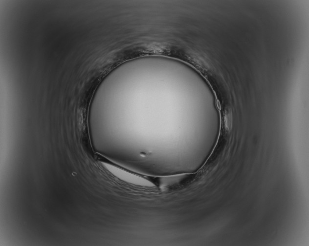 X0000083601347200703021901