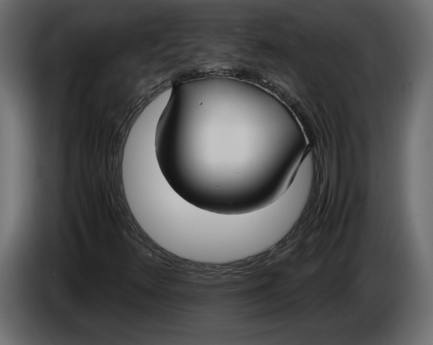 X0000083601348200703021901