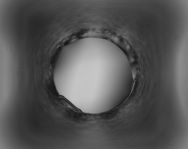 X0000083601349200703021901