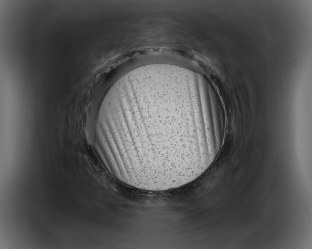 X0000083601350200703021901