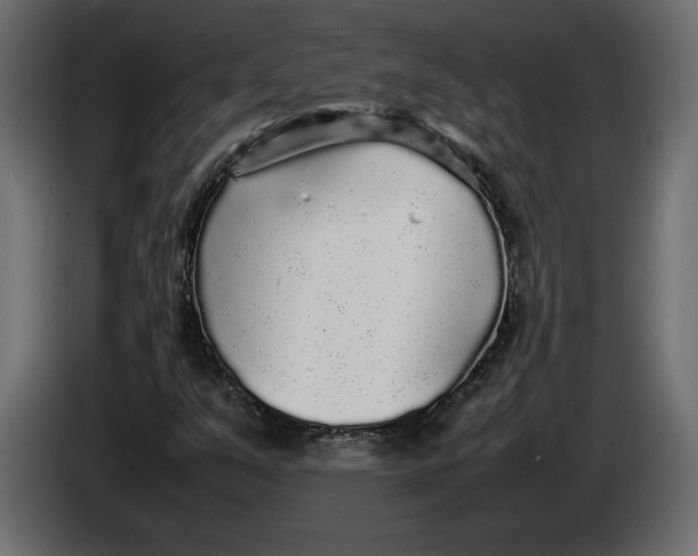 X0000083601351200703021901