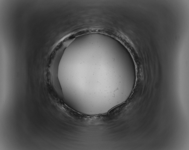 X0000083601352200703021901