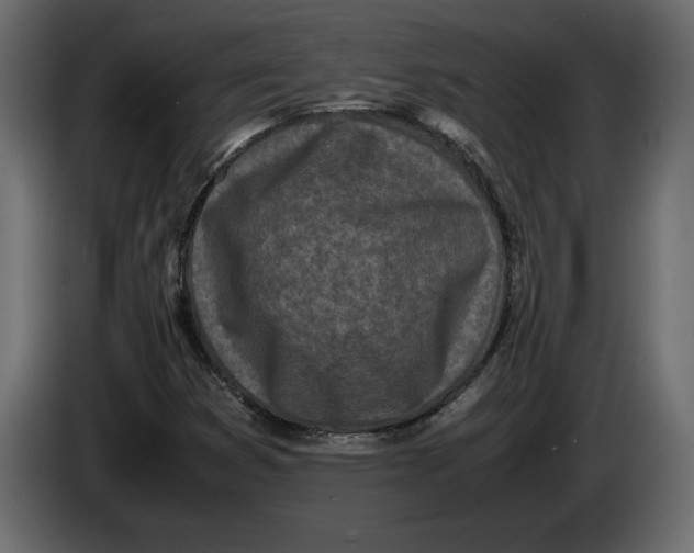 X0000083601353200703021901