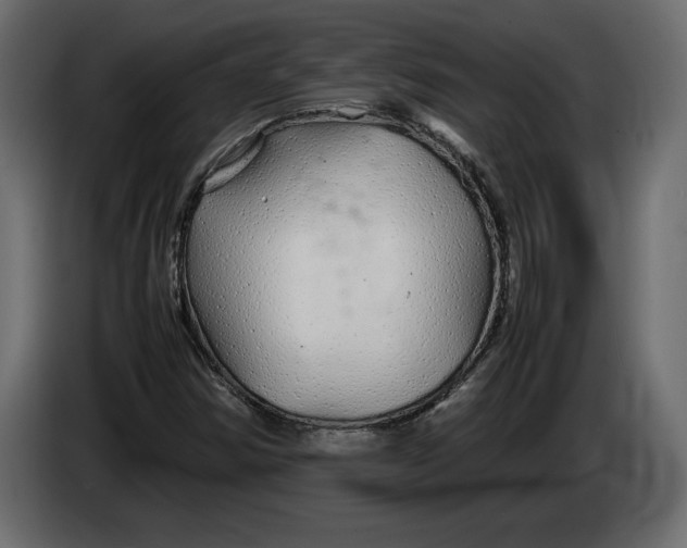 X0000083601354200703021901