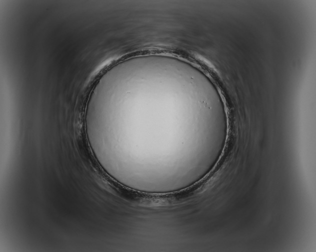 X0000083601355200703021901