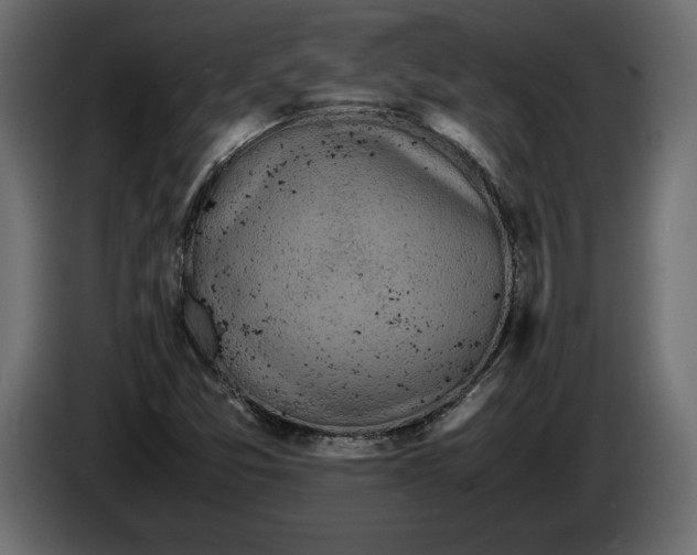 X0000083601357200703021901