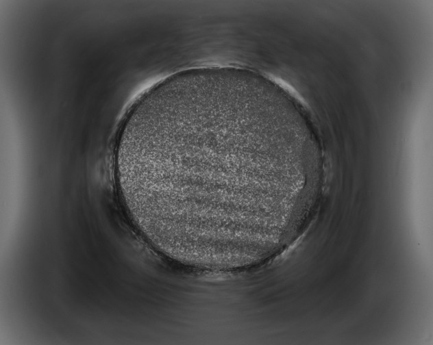 X0000083601358200703021901