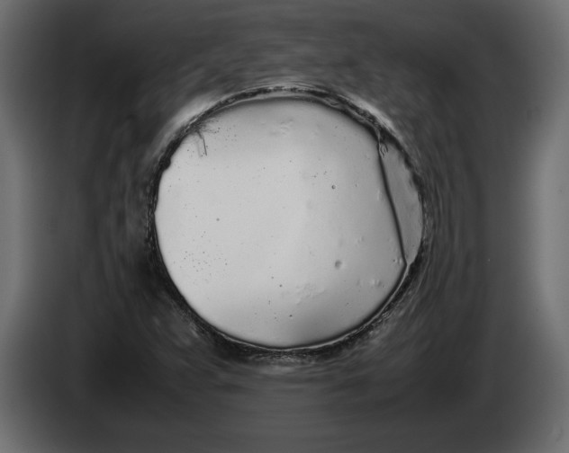 X0000083601359200703021901