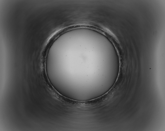 X0000083601360200703021901