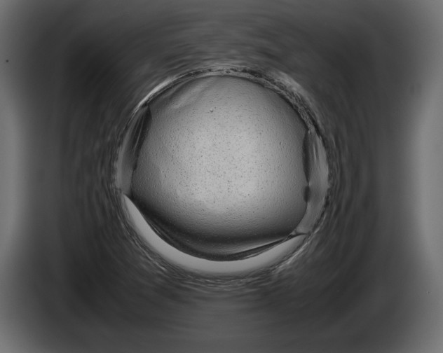 X0000083601361200703021901