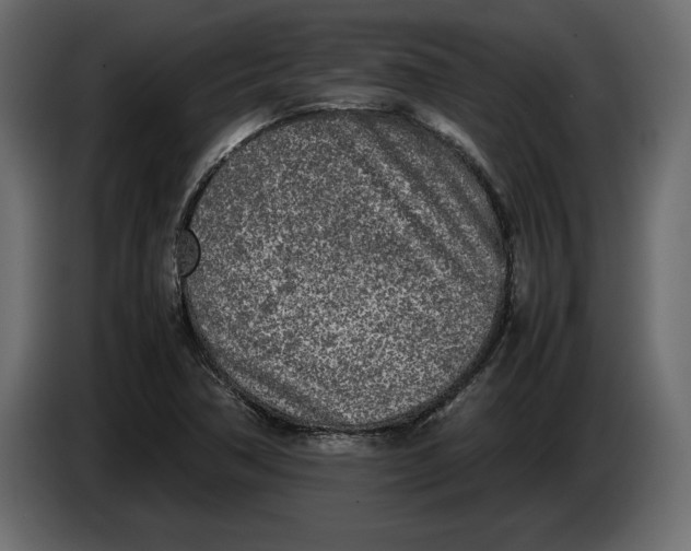 X0000083601362200703021901