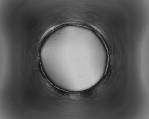 X0000083601363200703021901