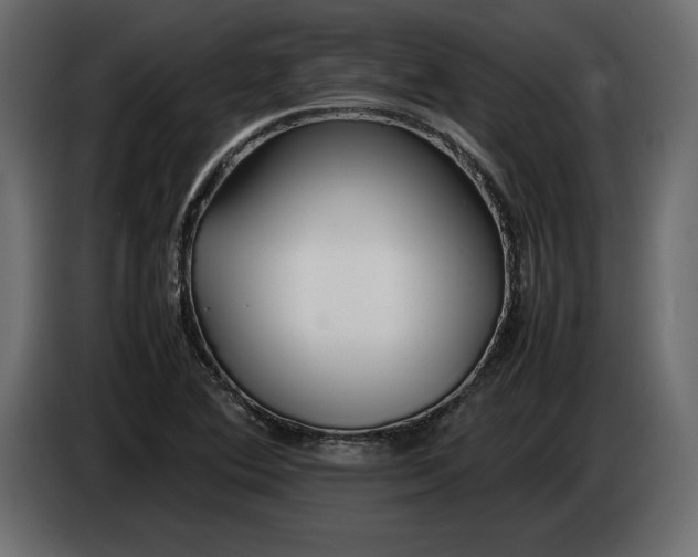 X0000083601364200703021901