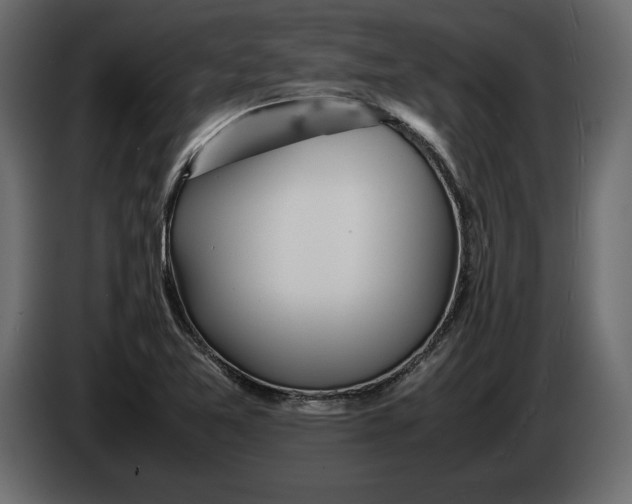 X0000083601365200703021901