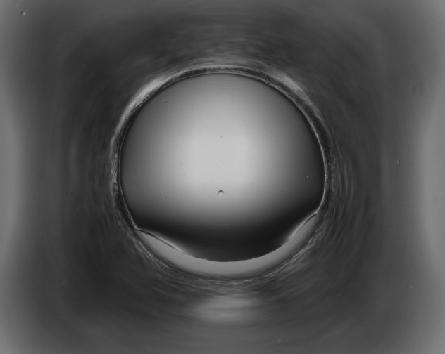 X0000083601366200703021901