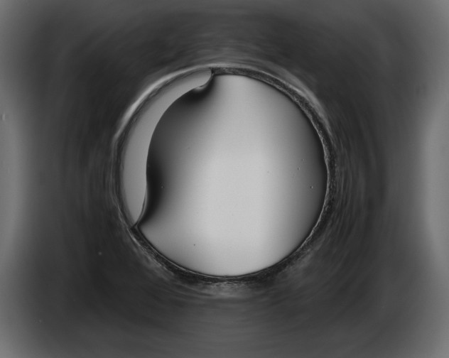 X0000083601368200703021901