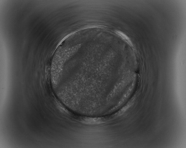 X0000083601369200703021901