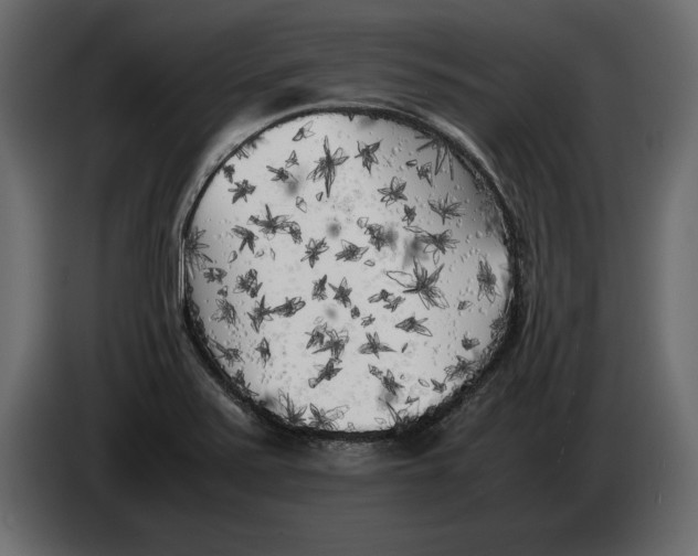 X0000083601371200703021901