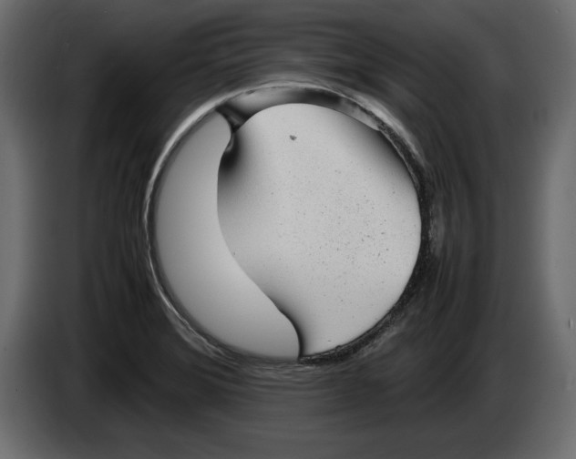 X0000083601372200703021901