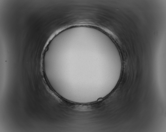 X0000083601374200703021901