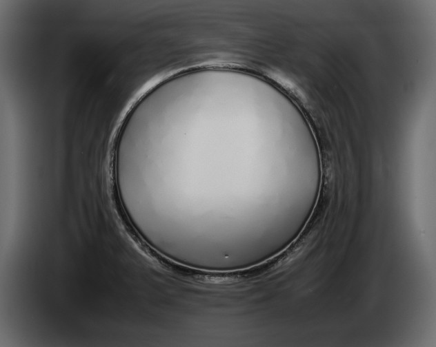 X0000083601375200703021901