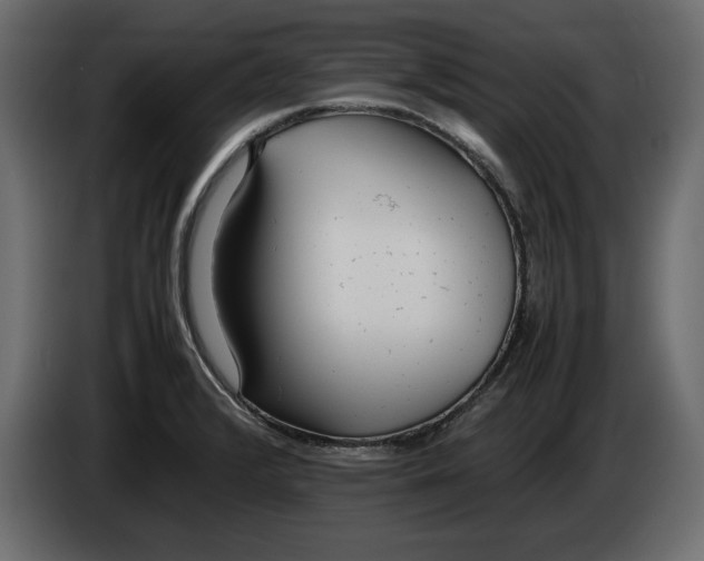 X0000083601376200703021901