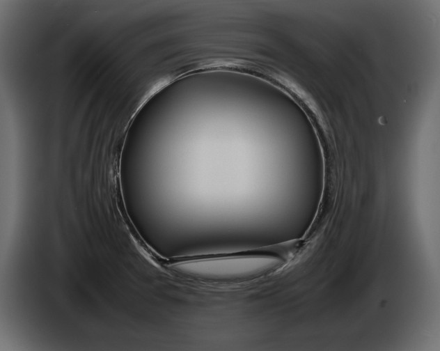 X0000083601377200703021901