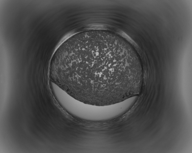 X0000083601378200703021901