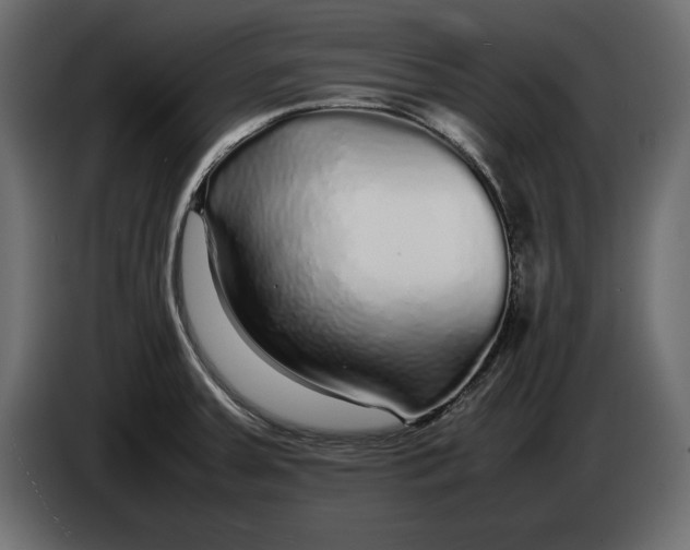 X0000083601379200703021901