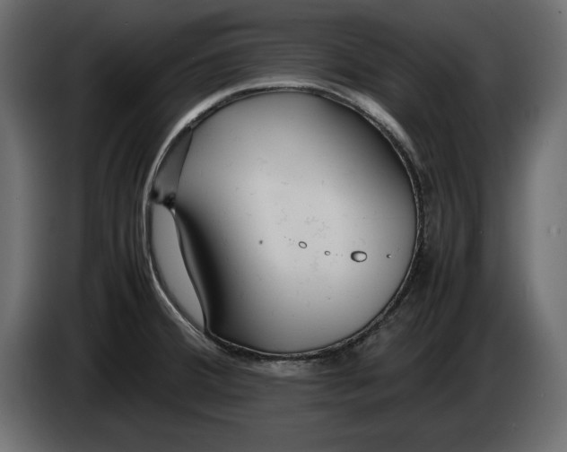 X0000083601380200703021901