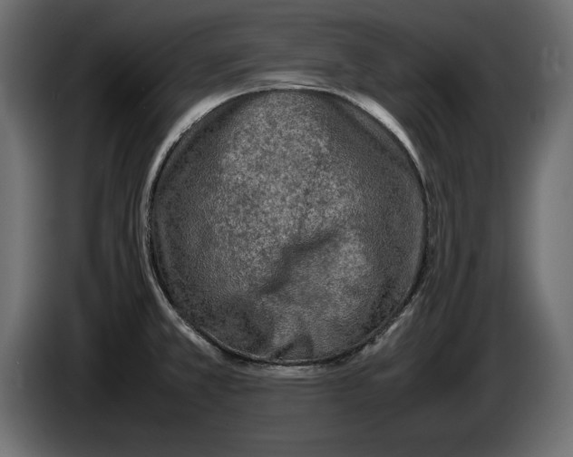 X0000083601381200703021901