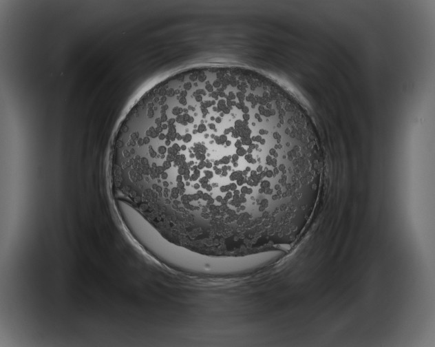 X0000083601382200703021901