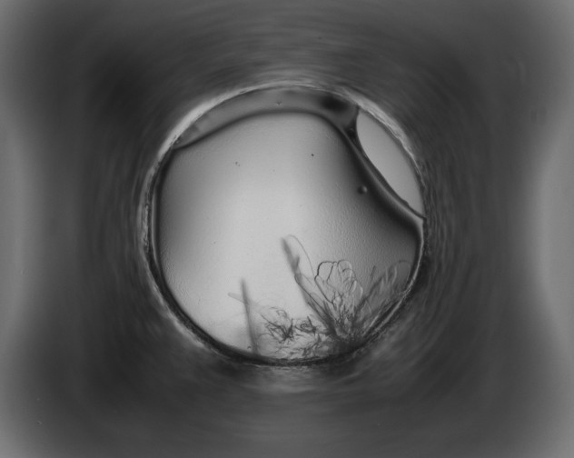 X0000083601383200703021901