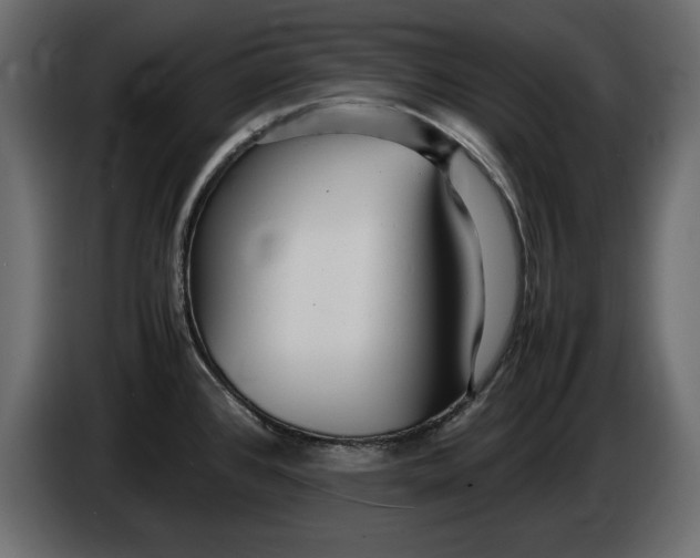 X0000083601384200703021901