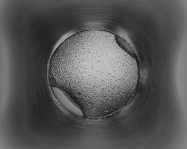 X0000083601386200703021901