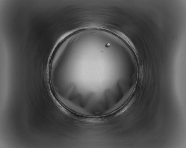 X0000083601388200703021901