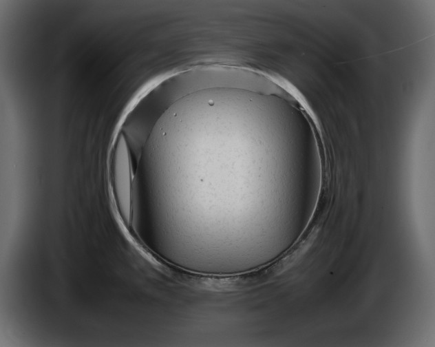 X0000083601389200703021901