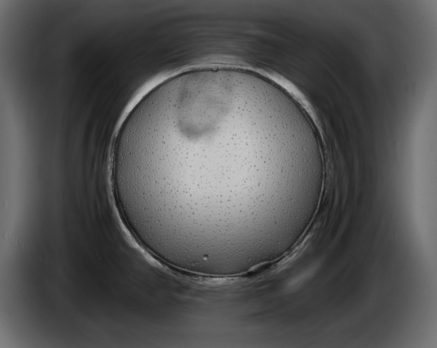 X0000083601390200703021901