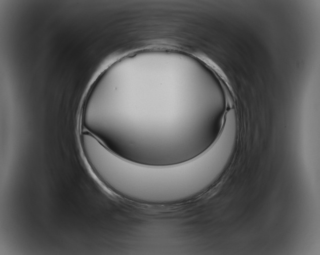 X0000083601391200703021901