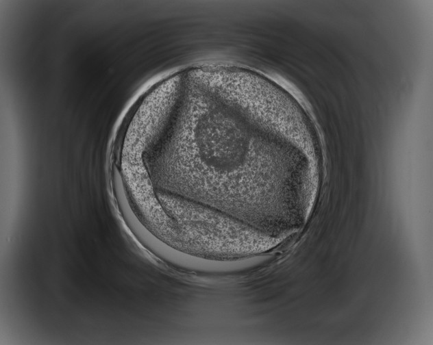 X0000083601392200703021901