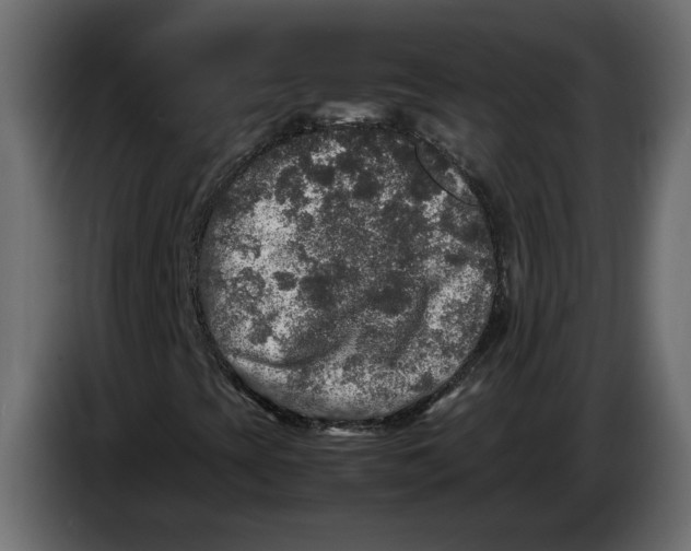 X0000083601393200703021900