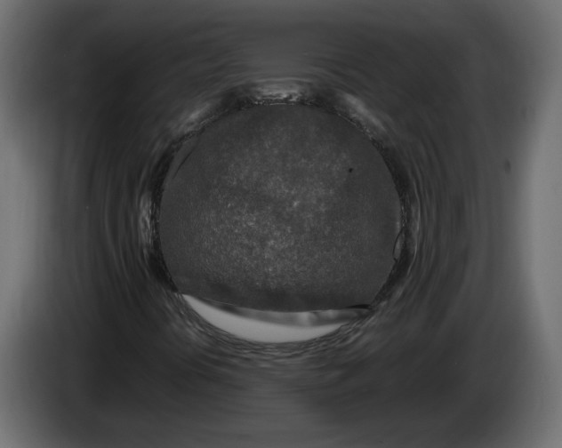 X0000083601394200703021900