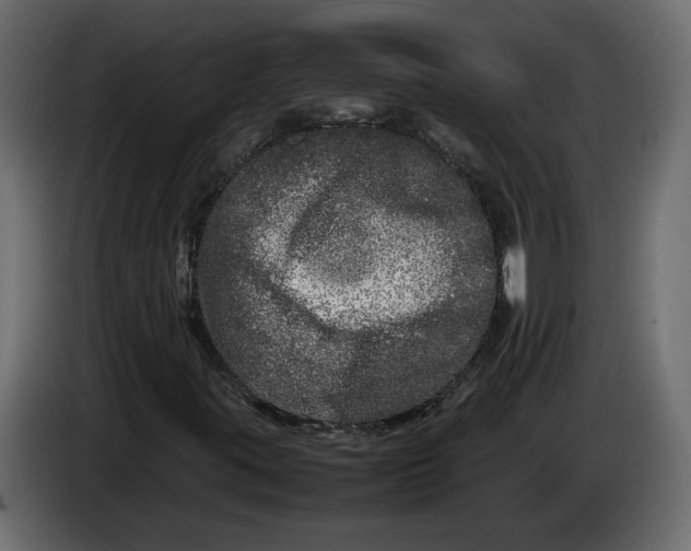 X0000083601395200703021900