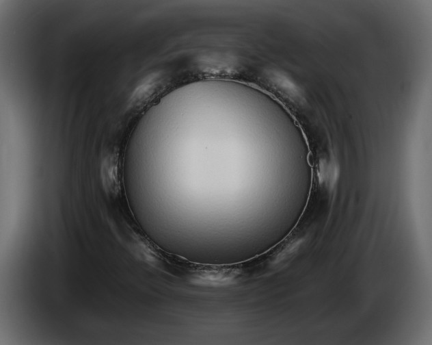 X0000083601396200703021900