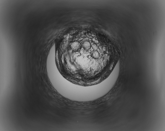 X0000083601397200703021900