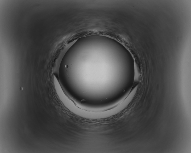 X0000083601398200703021900