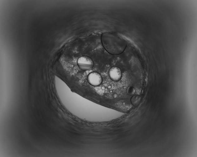 X0000083601399200703021900