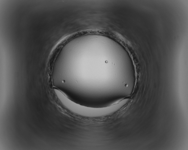 X0000083601400200703021900