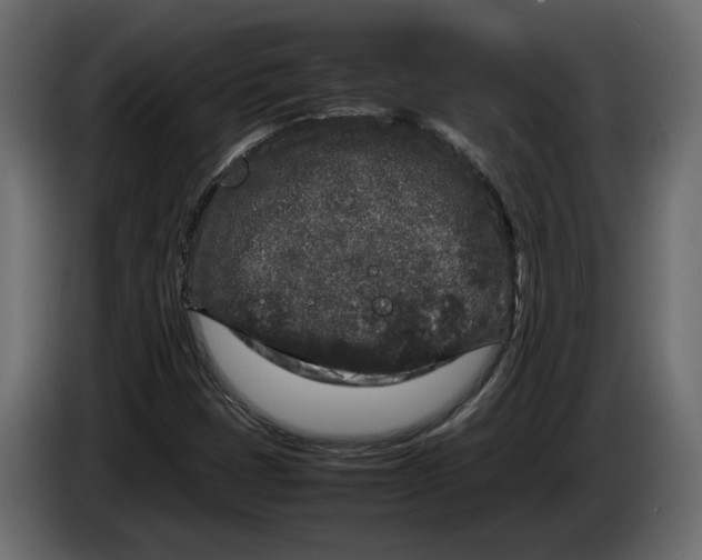 X0000083601401200703021900